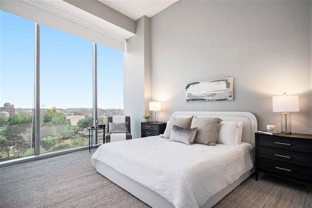 335 Bridge St NW Unit 500, Grand Rapids, MI 49504 - carpeted bedroom with multiple windows and floor to ceiling windows