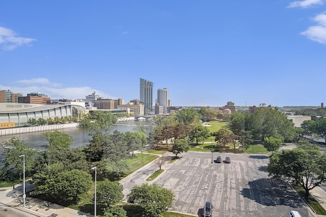335 Bridge St NW Unit 500, Grand Rapids, MI 49504 - city view with a nearby body of water and a notable bridge