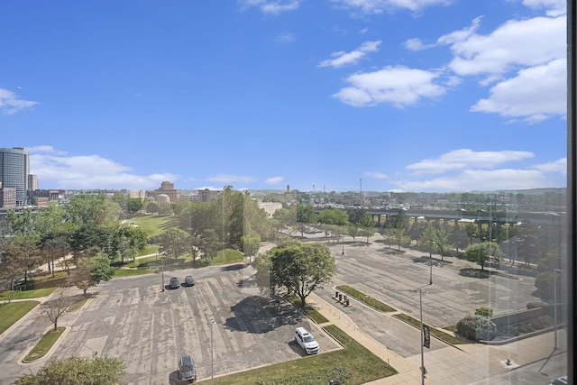 335 Bridge St NW Unit 500, Grand Rapids, MI 49504 - view of urban area