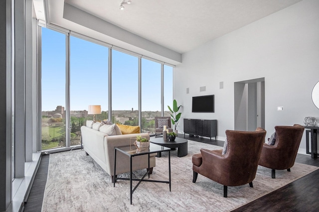 335 Bridge St NW Unit 500, Grand Rapids, MI 49504 - living area featuring wood finished floors and a high ceiling