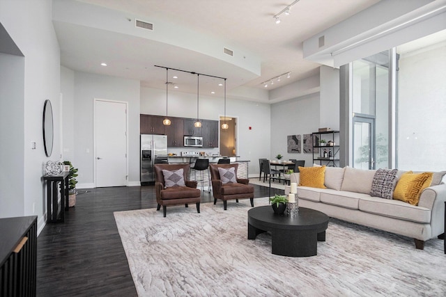 335 Bridge St NW Unit 500, Grand Rapids, MI 49504 - living area featuring rail lighting, dark wood-style floors, a towering ceiling, and baseboards