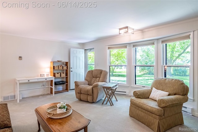 28441 Westerleigh Rd, Farmington, MI 48334 - living area featuring light carpet, crown molding, plenty of natural light, and a baseboard heating unit