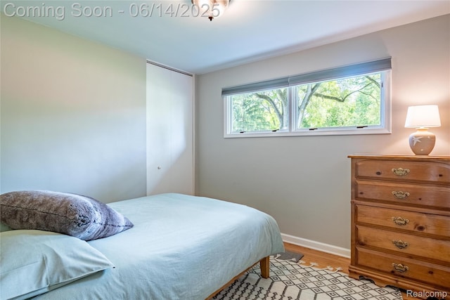 28441 Westerleigh Rd, Farmington, MI 48334 - bedroom with light wood finished floors and a closet