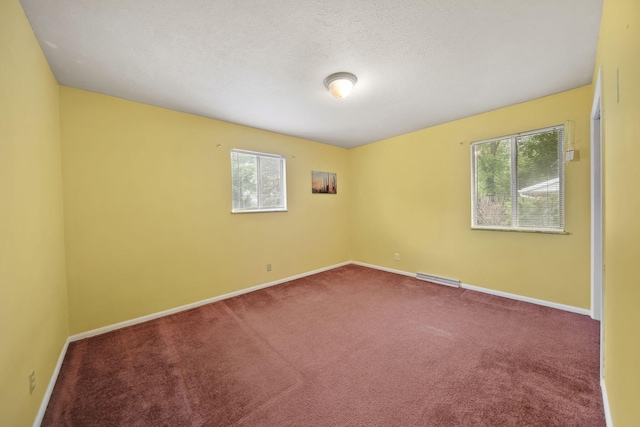 4109 Spring Arbor Rd, Jackson, MI 49201 - carpeted spare room with plenty of natural light and baseboards