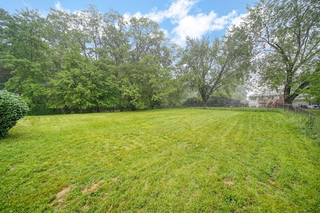 4109 Spring Arbor Rd, Jackson, MI 49201 - view of yard