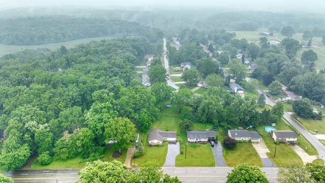 4109 Spring Arbor Rd, Jackson, MI 49201 - aerial view of a forest