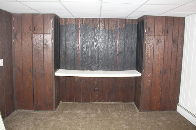 6994 E 34th Rd, Cadillac, MI 49601 - detailed view of carpet flooring, wooden walls, and a paneled ceiling