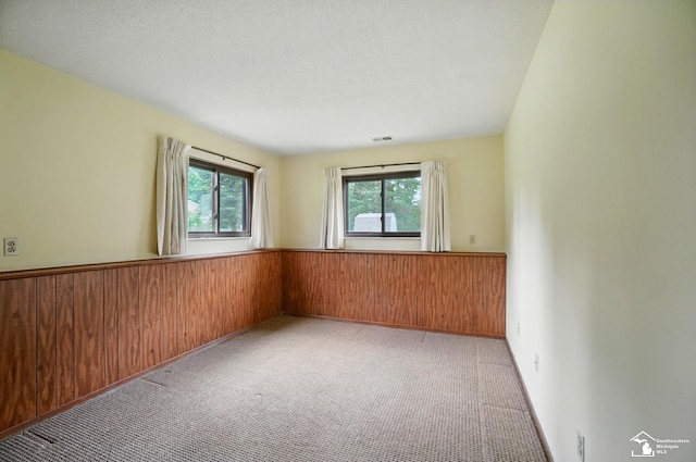 7658 Salter Ct, Temperance, MI 48182 - carpeted spare room with a wainscoted wall and wood walls