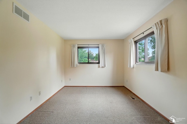 7658 Salter Ct, Temperance, MI 48182 - spare room with healthy amount of natural light and carpet flooring