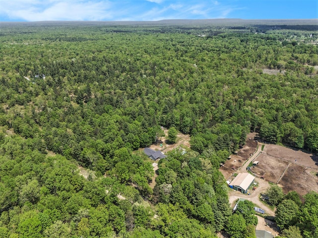 10560 N Tuttle Rd, Michigan, MI 49411 - photo 32