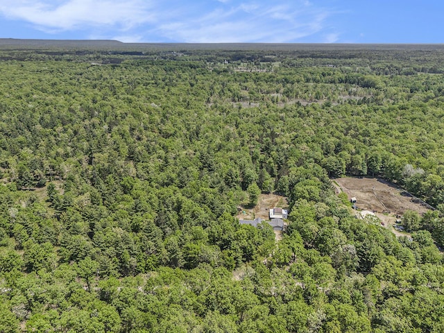 10560 N Tuttle Rd, Michigan, MI 49411 - photo 33