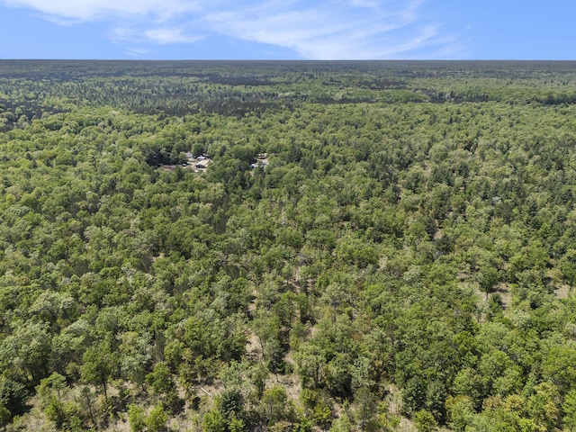 10560 N Tuttle Rd, Michigan, MI 49411 - photo 34
