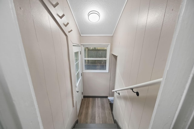 164 Cross St, Michigan Center, MI 49254 - stairs with wood finished floors and a textured ceiling