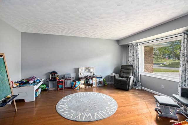 2030 Surry, Schoolcraft, MI 49087 - playroom featuring wood finished floors, a textured ceiling, and baseboards