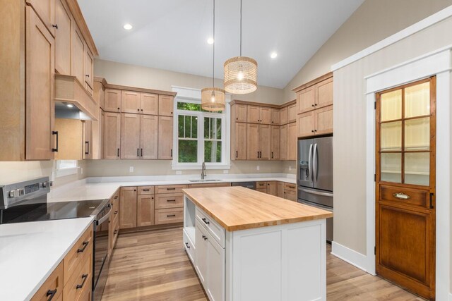 347 Looking Glass Ave, Portland, MI 48875 - photo 11
