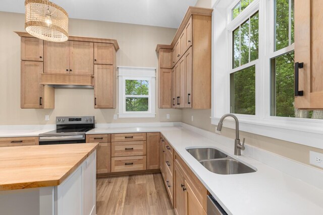 347 Looking Glass Ave, Portland, MI 48875 - photo 14