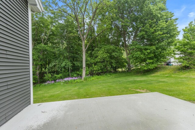 347 Looking Glass Ave, Portland, MI 48875 - photo 33