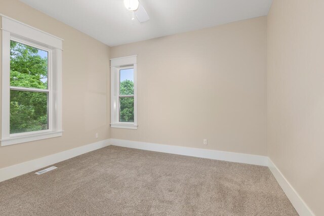 347 Looking Glass Ave, Portland, MI 48875 - photo 23