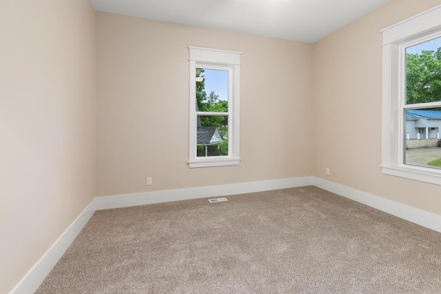347 Looking Glass Ave, Portland, MI 48875 - photo 25