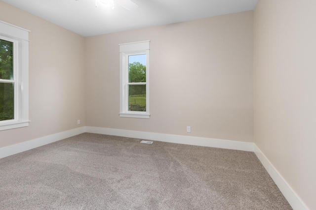 347 Looking Glass Ave, Portland, MI 48875 - photo 27