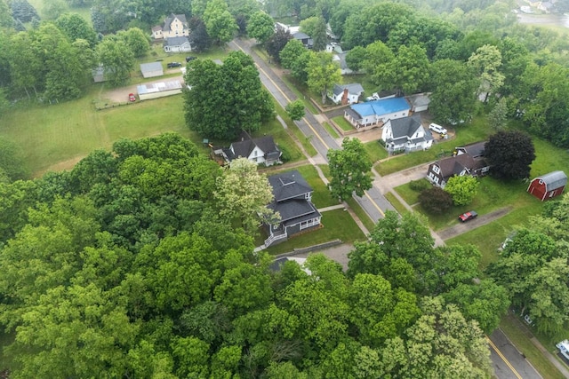 347 Looking Glass Ave, Portland, MI 48875 - photo 48