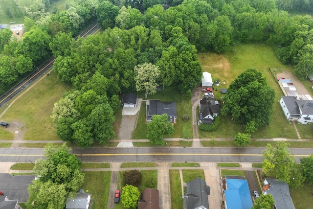 347 Looking Glass Ave, Portland, MI 48875 - photo 52