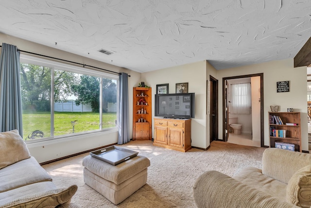 2006 W Rose Center Rd, Holly, MI 48442 - living room with baseboards, light carpet, and a textured ceiling