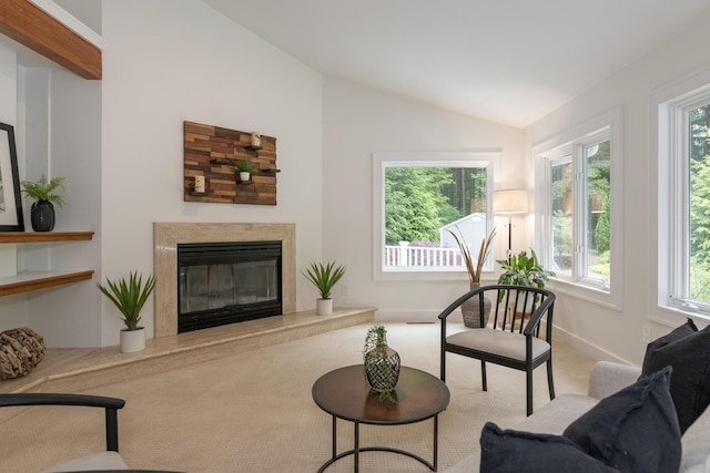 8562 W R Ave, Kalamazoo, MI 49009 - carpeted living area featuring vaulted ceiling, plenty of natural light, a premium fireplace, and baseboards