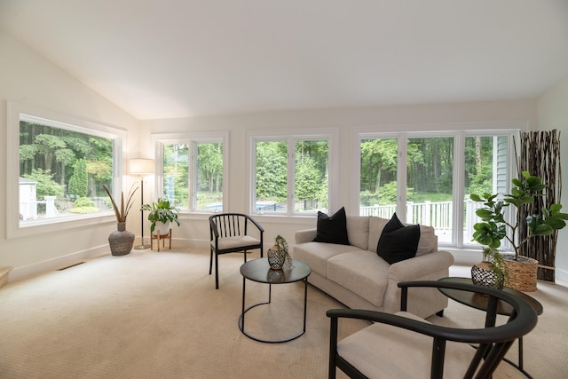 8562 W R Ave, Kalamazoo, MI 49009 - sunroom / solarium featuring vaulted ceiling