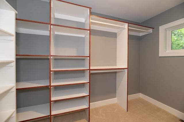 8562 W R Ave, Kalamazoo, MI 49009 - walk in closet featuring carpet floors