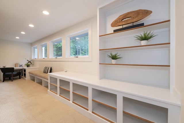 8562 W R Ave, Kalamazoo, MI 49009 - living area featuring recessed lighting and carpet
