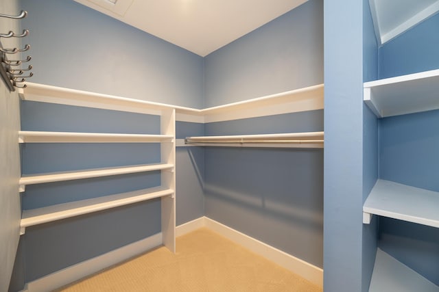 8562 W R Ave, Kalamazoo, MI 49009 - walk in closet with carpet