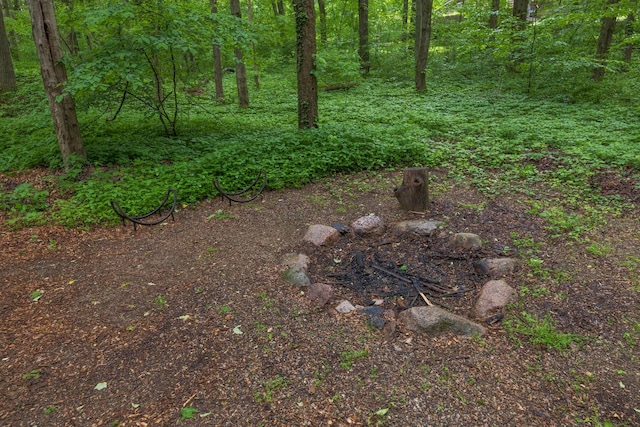8562 W R Ave, Kalamazoo, MI 49009 - view of yard