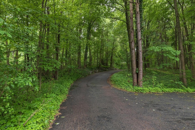 8562 W R Ave, Kalamazoo, MI 49009 - view of street with a forest view