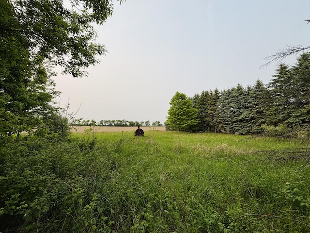 15522 Kimball Rd, Trufant, MI 49347 - view of undeveloped land featuring rural landscape