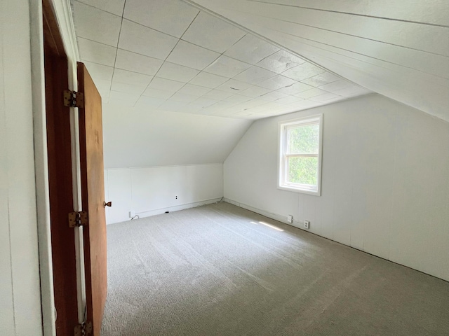 15522 Kimball Rd, Trufant, MI 49347 - additional living space with carpet flooring and vaulted ceiling