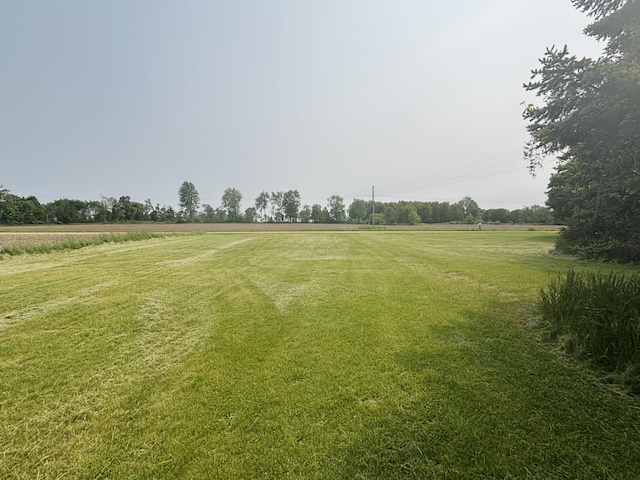 15522 Kimball Rd, Trufant, MI 49347 - view of green lawn with a rural view