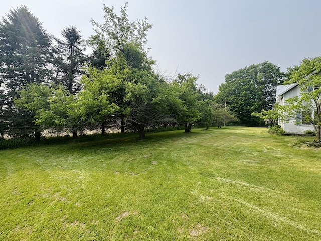 15522 Kimball Rd, Trufant, MI 49347 - view of green lawn