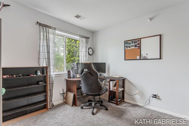 5869 Crosswinds Dr Unit 21, Norton Shores, MI 49444 - home office featuring carpet flooring and baseboards