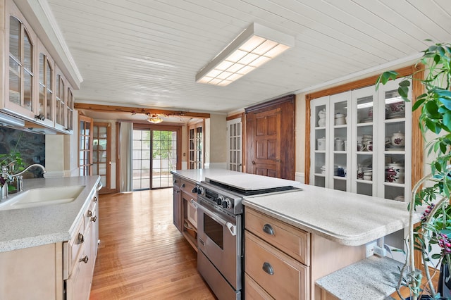 122 N Robinson St, Schoolcraft, MI 49087 - kitchen with stainless steel range oven, a sink, light wood-style floors, glass insert cabinets, and light stone counters