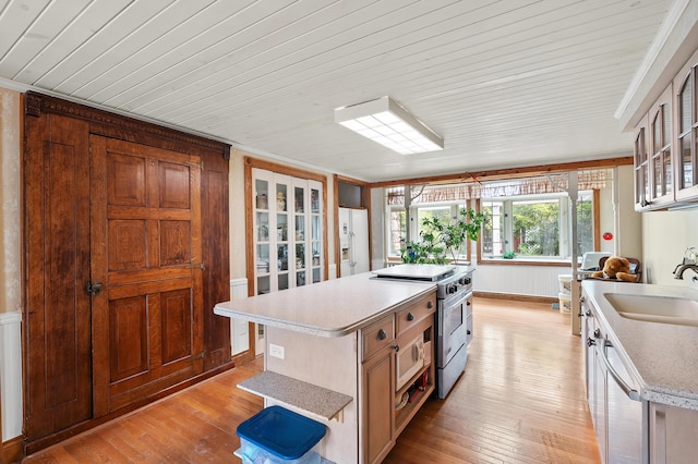 122 N Robinson St, Schoolcraft, MI 49087 - kitchen with stainless steel appliances, a sink, light countertops, and light wood-style floors