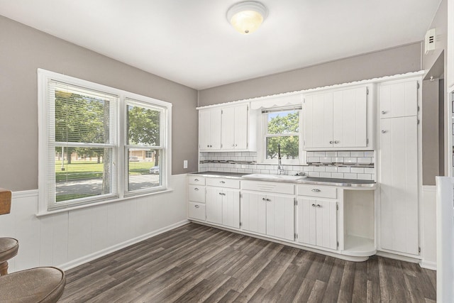 488 Roberts St, Muskegon, MI 49442 - kitchen with a sink, plenty of natural light, dark wood finished floors, a wainscoted wall, and white cabinets