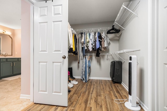 4844 Ontario Dr, Buchanan, MI 49107 - walk in closet with wood finished floors and a sink