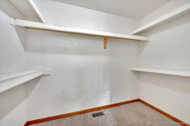 38 Melvin J Ct, Oxford, MI 48371 - walk in closet with carpet floors