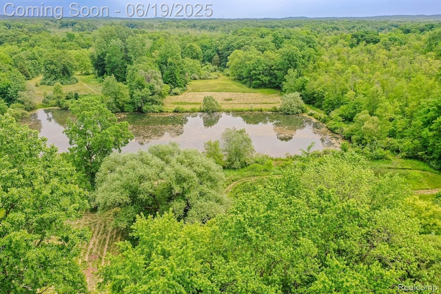 5180 Hillsboro Rd, Davisburg, MI 48350 - drone / aerial view of a large body of water and a forest