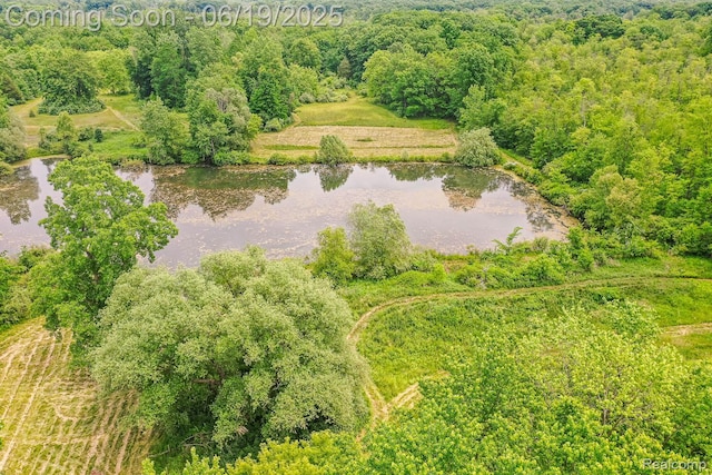 5180 Hillsboro Rd, Davisburg, MI 48350 - drone / aerial view of a large body of water and a forest