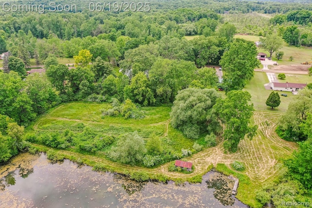 5180 Hillsboro Rd, Davisburg, MI 48350 - drone / aerial view of a large body of water and a heavily wooded area