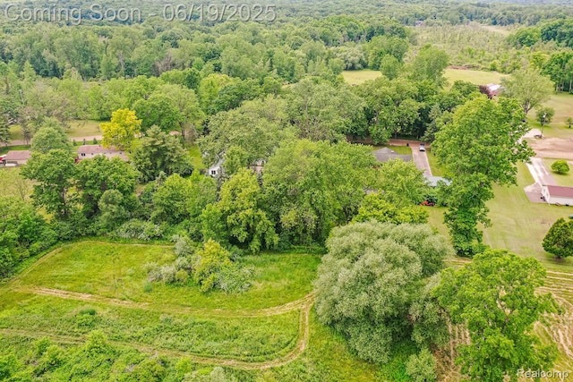 5180 Hillsboro Rd, Davisburg, MI 48350 - drone / aerial view of a heavily wooded area