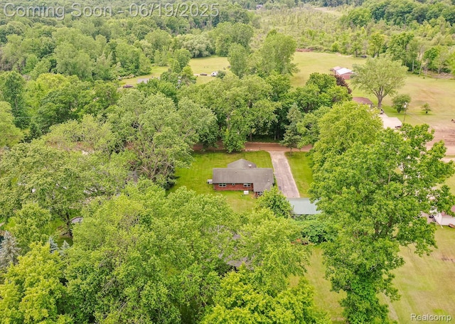 5180 Hillsboro Rd, Davisburg, MI 48350 - drone / aerial view