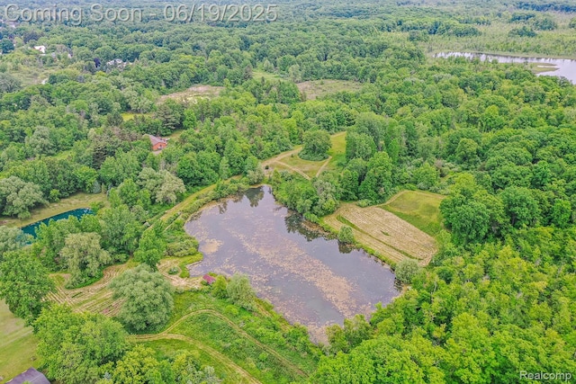 5180 Hillsboro Rd, Davisburg, MI 48350 - drone / aerial view of a nearby body of water and a heavily wooded area